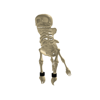 Skeleton Horse