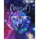 TeamGalaxyWolves