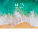 Chicken group with food not really