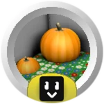 Pumpkin Hotshot