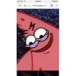 The meme inspectors