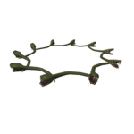 biocelIs