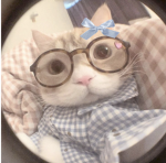 Meowfia HQ