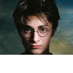 The frist game of Harry potter fans group