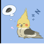 Bird fanz