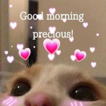 precious addons