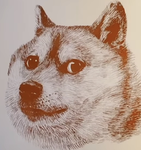 Doge/trainers