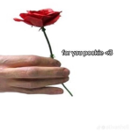 Join my tik ok !