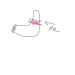 im a sock