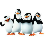 Penguins of Malawi