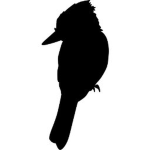 Kookaburra Township