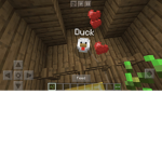 Ducky savers