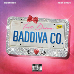 BADDIVA CO.
