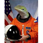 The Gecko spaceport