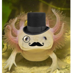 AXOLOTL GAME STUDIO