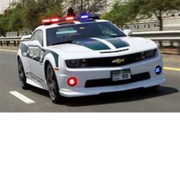 POLICE ROLEPLAY