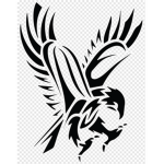 Star Falcon Studios
