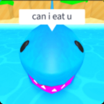 Sharkz Nation