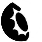Myonir'a
