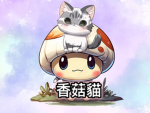 星空鑽石的粉絲群