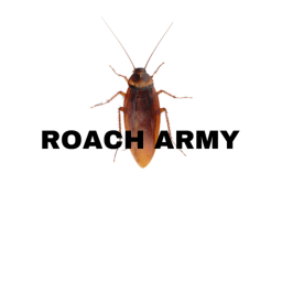 Roach Meet-Up place