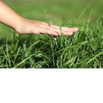 tuch grass :)