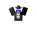 ZYN Clothes
