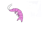 Shrimps in a pool