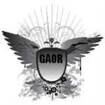 G.A.O.R