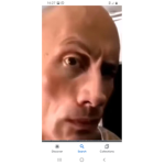 MEMES THE MEMES MEMES