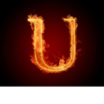 Unn group