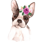 Frenchie Squad !