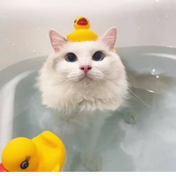 <3