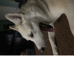 IMAGIANTNOOB16 group