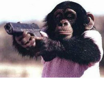 monkey gang turf