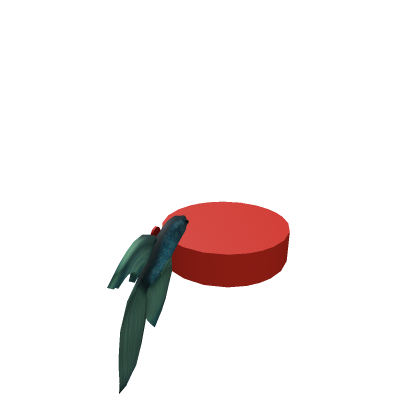 Betta fish morph