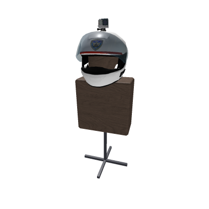 Model