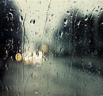 The Rxin(雨)