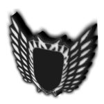 Elite Division Of Fighters
