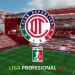 Nemesio Diez Stadium [LPMX] icon