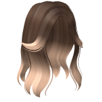 Aesthetic Split Bangs Hair in Brown to Blonde 