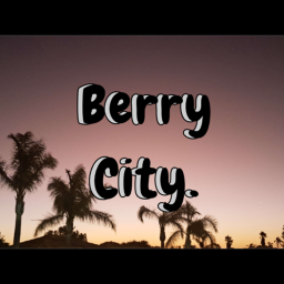 Berry City