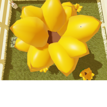 Sun Flower