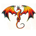 Dragon Power Team Club