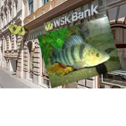 Rob the Bank and Stores (Mafia vs Police)