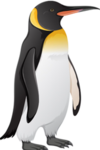 Panguin Party