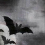 ϟ Dracula