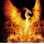 .Phoenix Studios