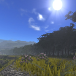 Monteverde - Jungle Battlemap