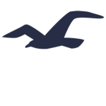 Hollister Concept Store Company